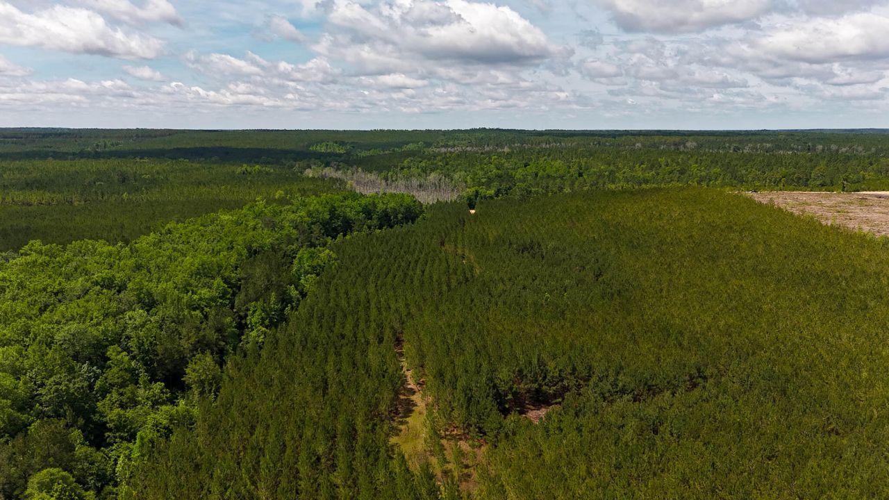 0 Old Cc Road Photo 6