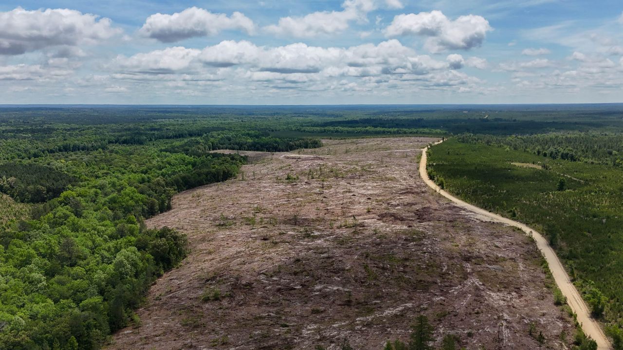 0 Old Cc Road Photo 9