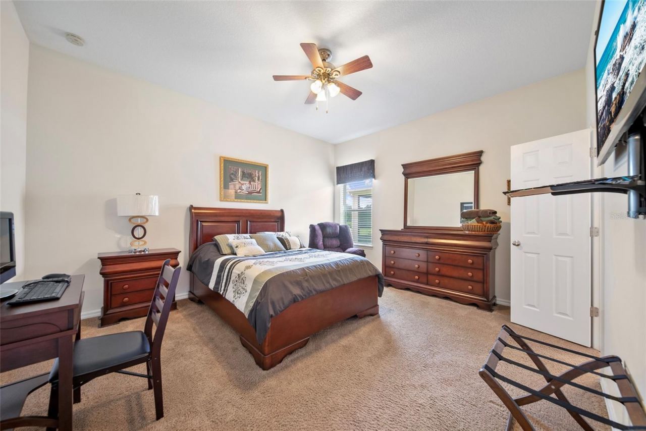 11729 Newberry Grove Loop, Riverview, FL 33579 Photo