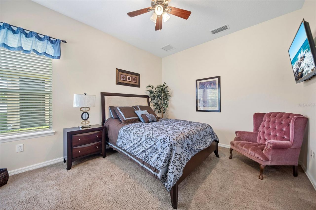 11729 Newberry Grove Loop, Riverview, FL 33579 Photo