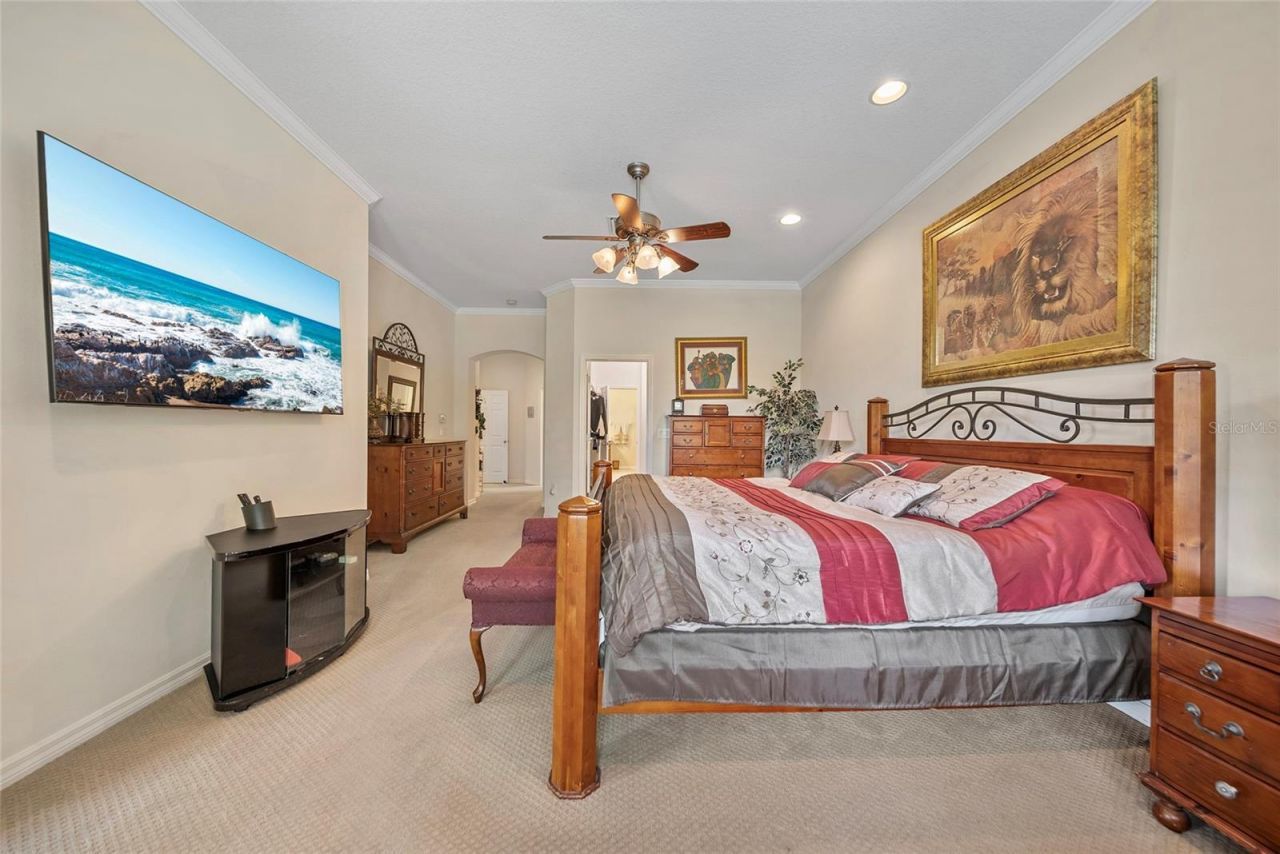 11729 Newberry Grove Loop, Riverview, FL 33579 Photo