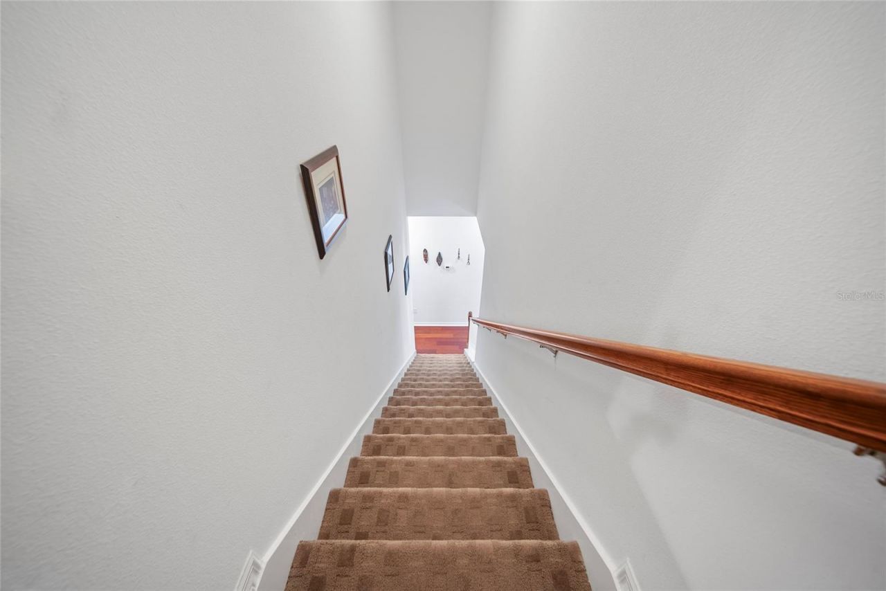 11729 Newberry Grove Loop, Riverview, FL 33579 Photo