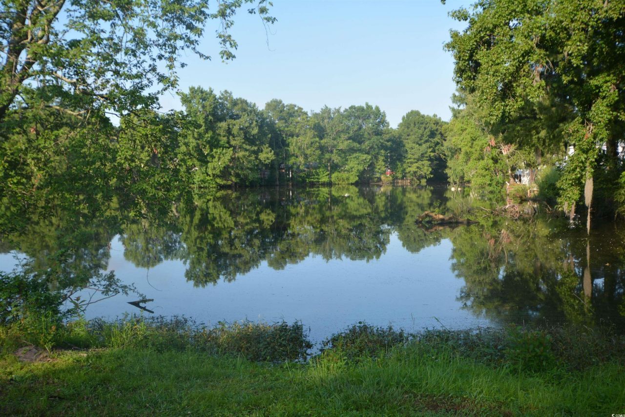 5867 Rosewood Dr. Photo 35