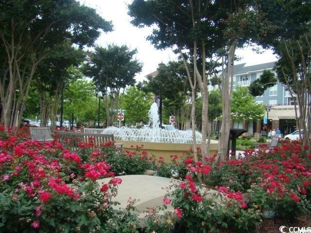 5867 Rosewood Dr. Photo 39