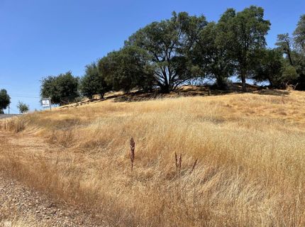 4585 Roadrunner Dr, Ione, CA 95640 Photo