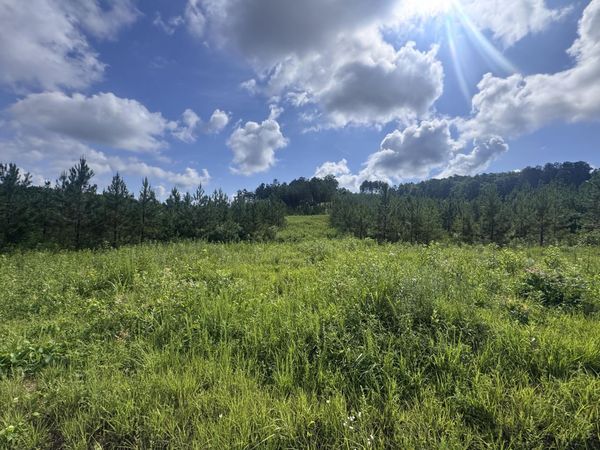 Lot 41 Three Point Road, Madisonville, TN 37354