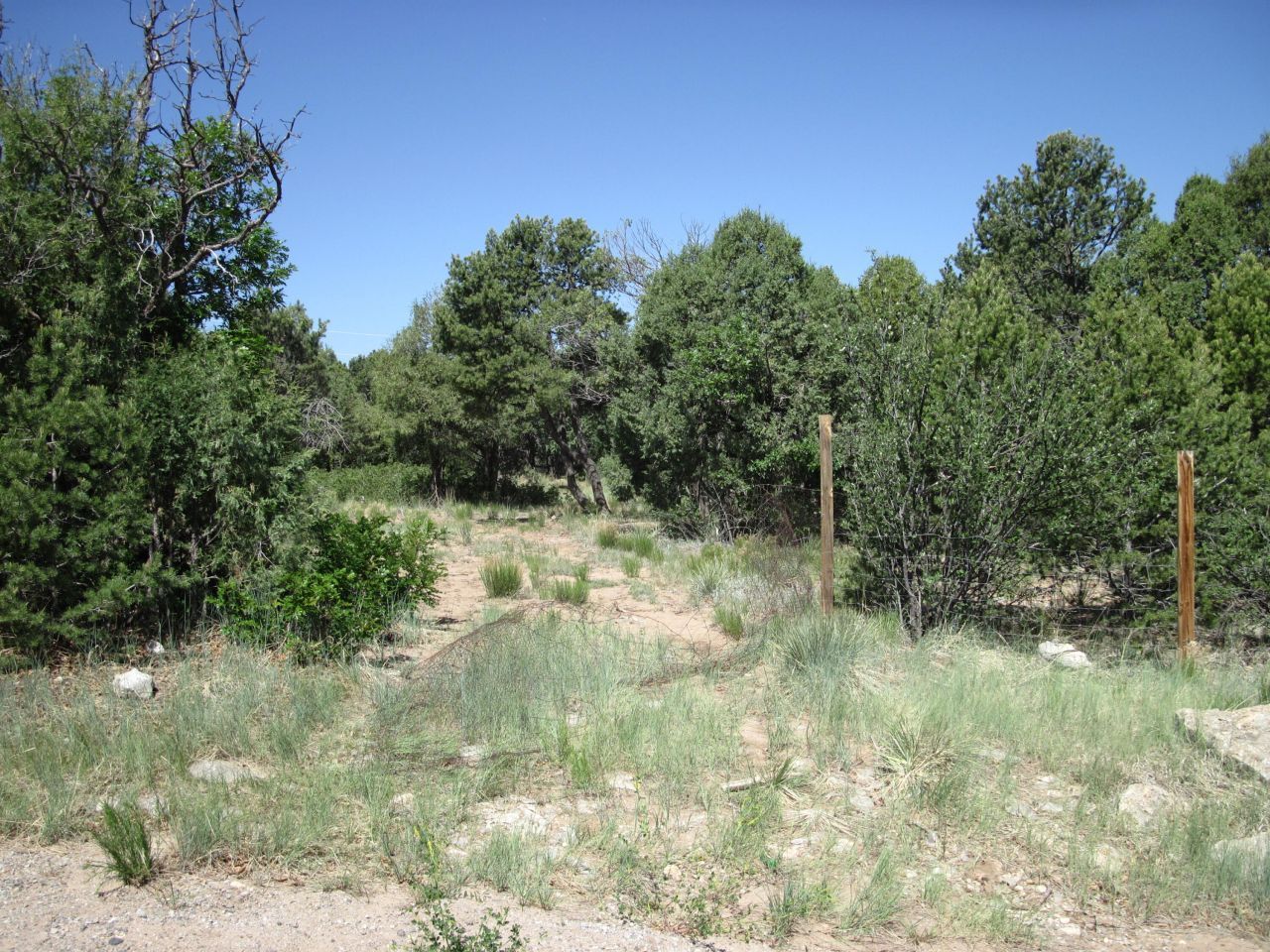 16 Roadrunner Road, Tijeras, NM 87059 Main Photo