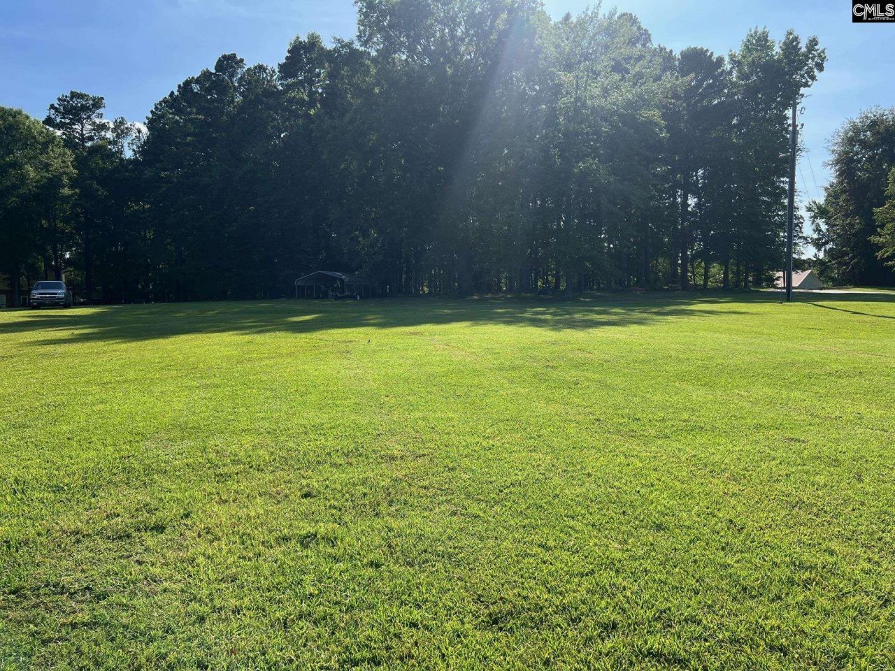 Lot A Lazy Lane Photo 10