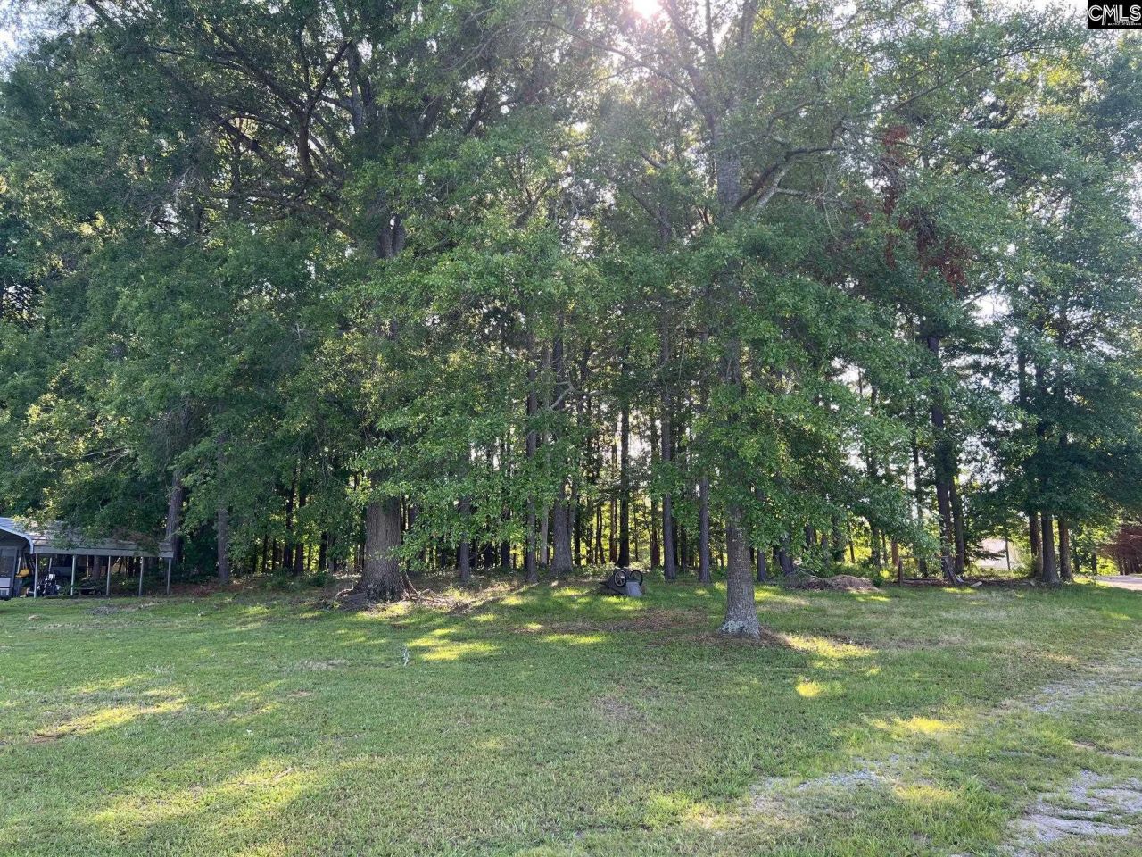 Lot A Lazy Lane Photo 11