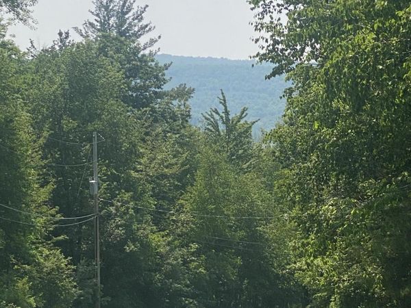 L20.44 Robinson Hollow Way, Stephentown, NY 12168