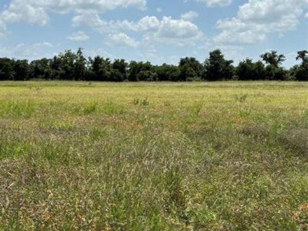 Lot 2 Chisholm Trail, Valley Mills, TX 76689