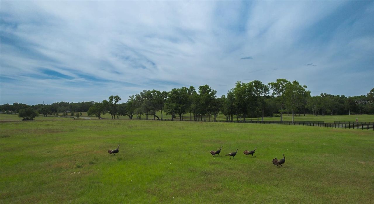 13381 W Hwy 40 (lot 1), Ocala, FL 34481 Photo