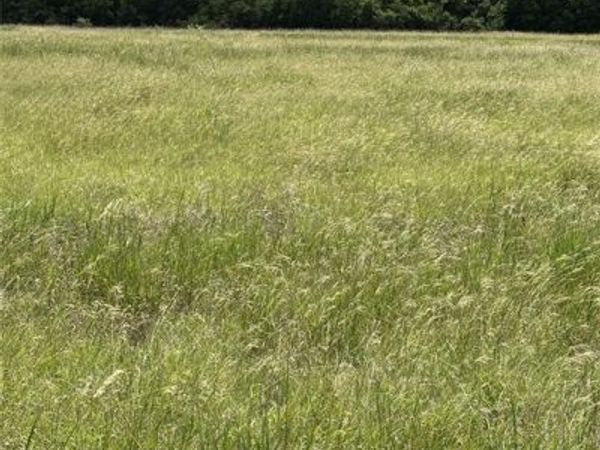 Lot 6 Chisholm Trail, Valley Mills, TX 76689