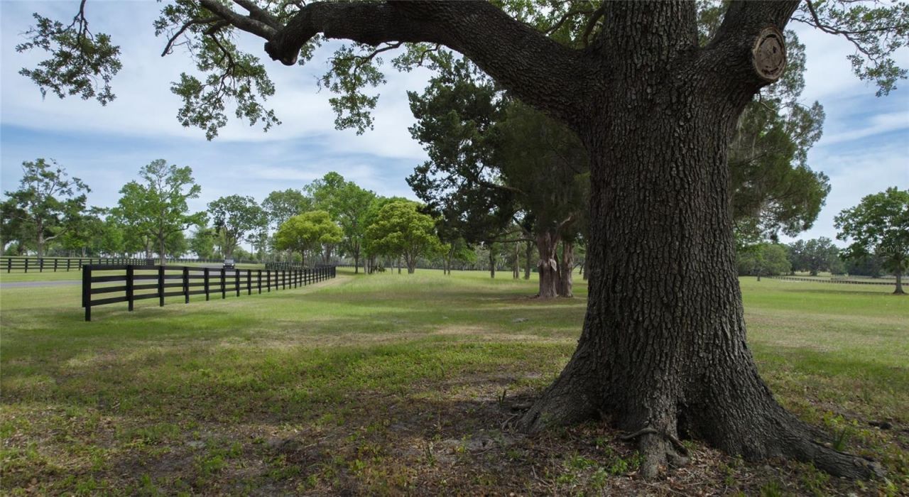 13381 W Hwy 40 (lot 3), Ocala, FL 34481 Photo