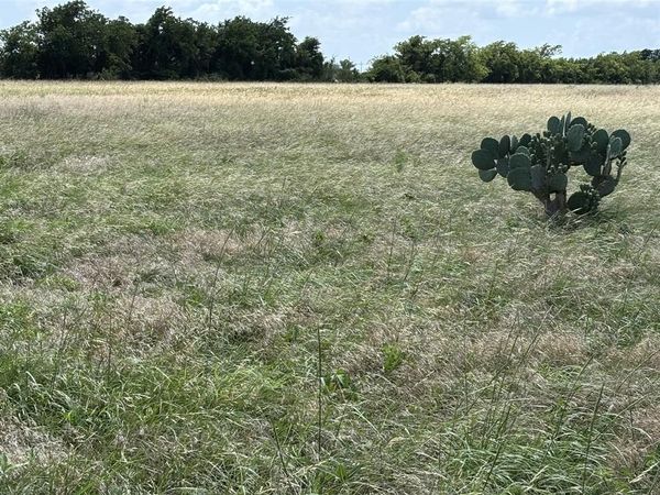 Lot 9 Chisholm Trail, Valley Mills, TX 76689