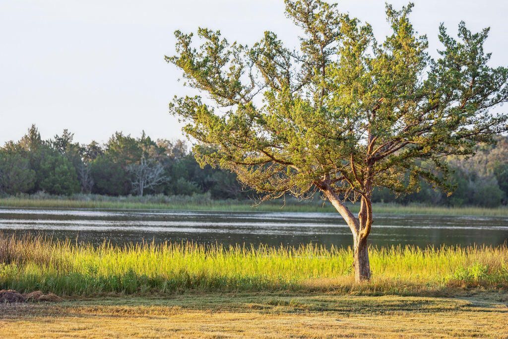 8042 Mariners Landing Photo 18