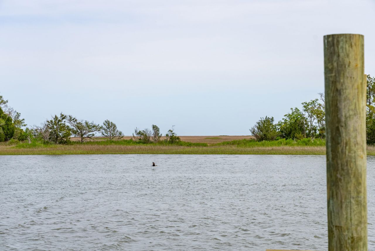 8042 Mariners Landing Photo 28