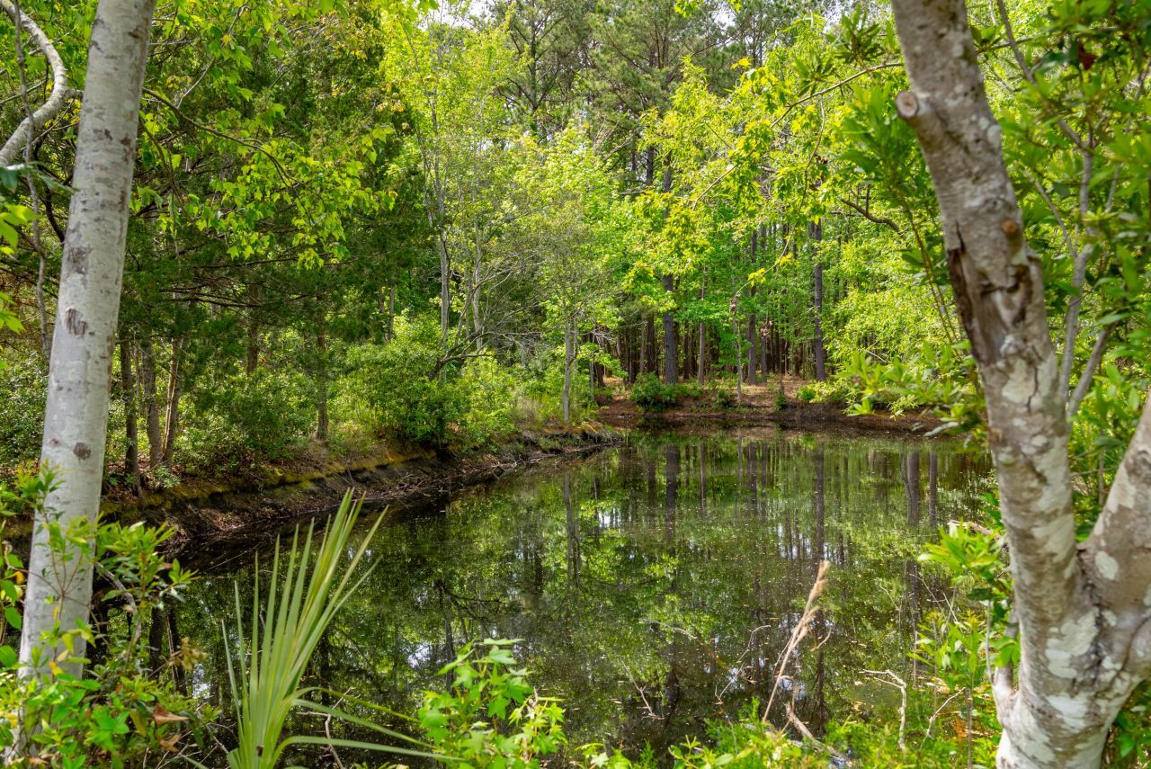 8042 Mariners Landing Photo 35