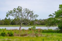 8042 Mariners Landing photo 4