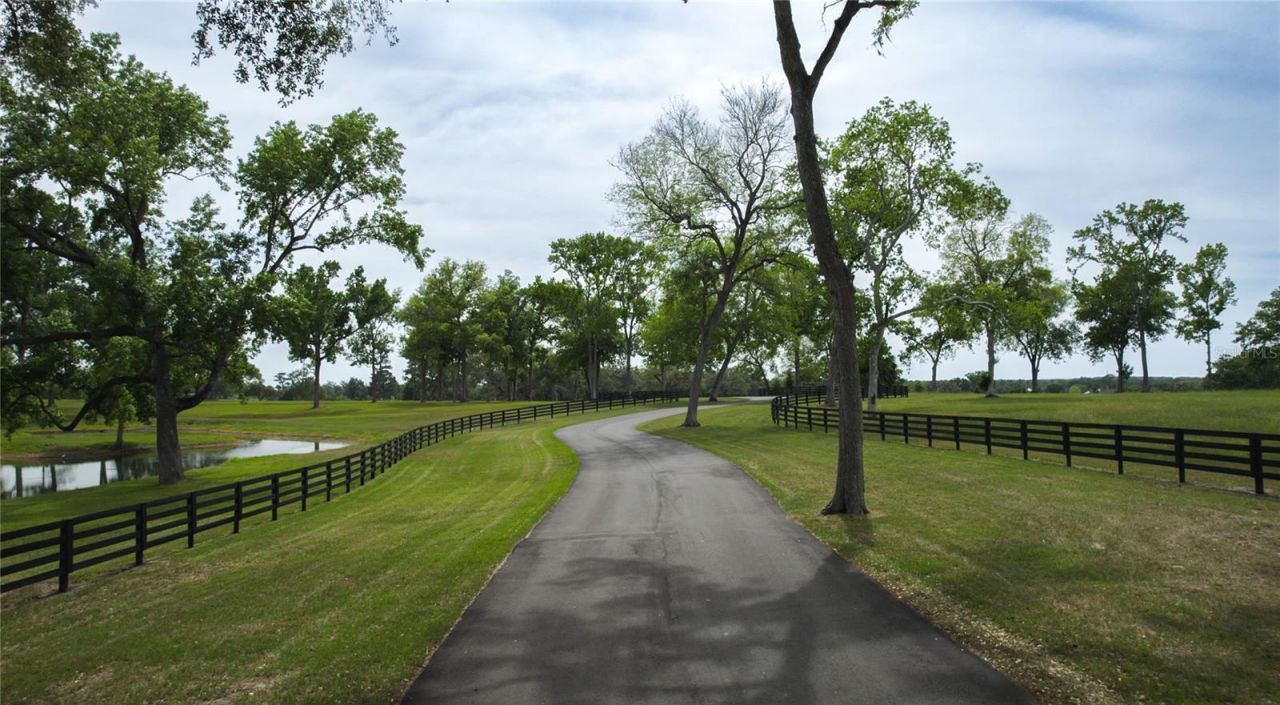 13381 W Hwy 40 (lot 5), Ocala, FL 34481 Photo