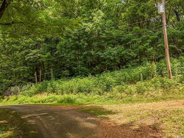 Lot 35 Salt Lane, Savannah, TN 38372