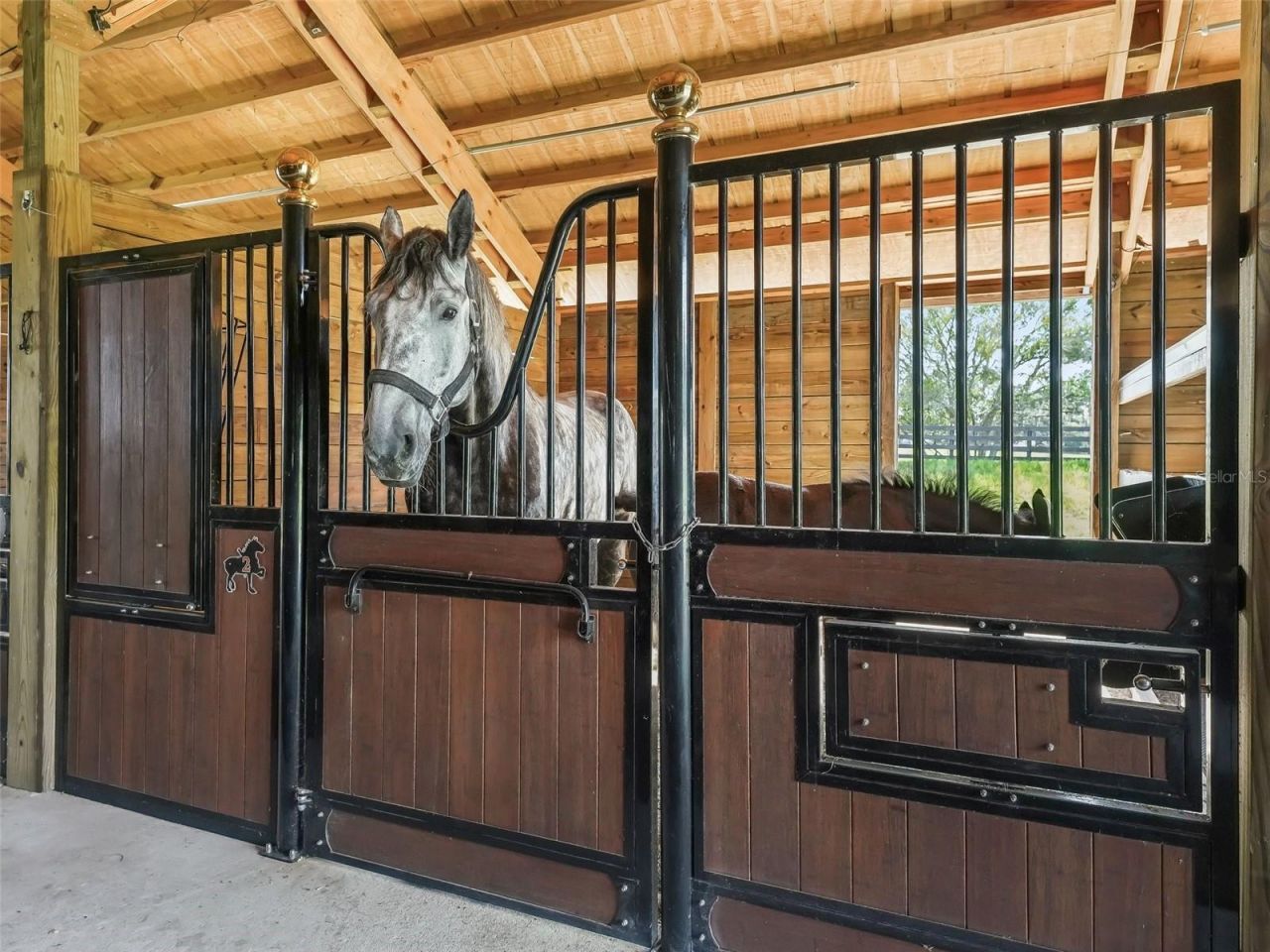 7041 NE 22nd Court Road, Ocala, FL 34479 Photo