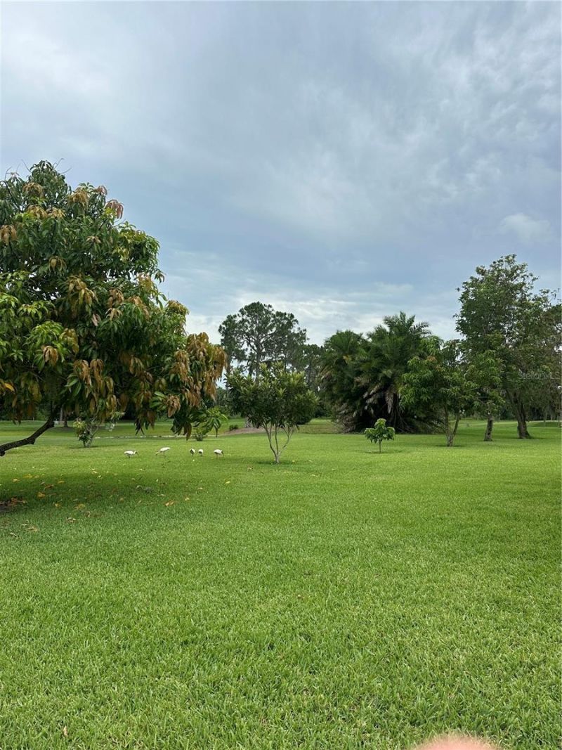 3192 Oaks Bend, Bowling Green, FL 33834 Photo