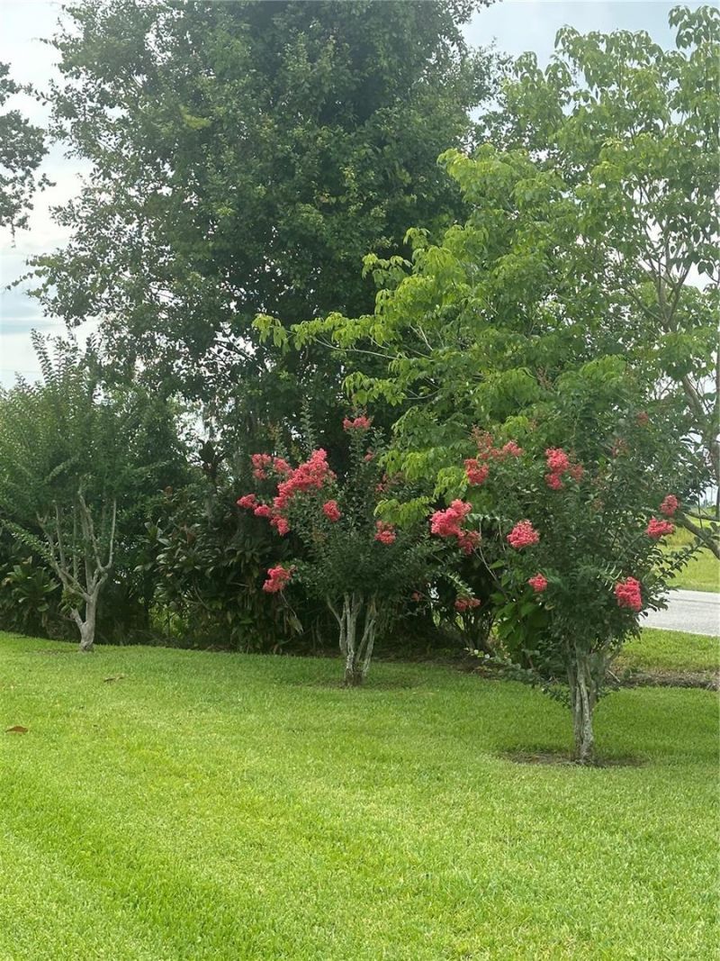 3192 Oaks Bend, Bowling Green, FL 33834 Photo