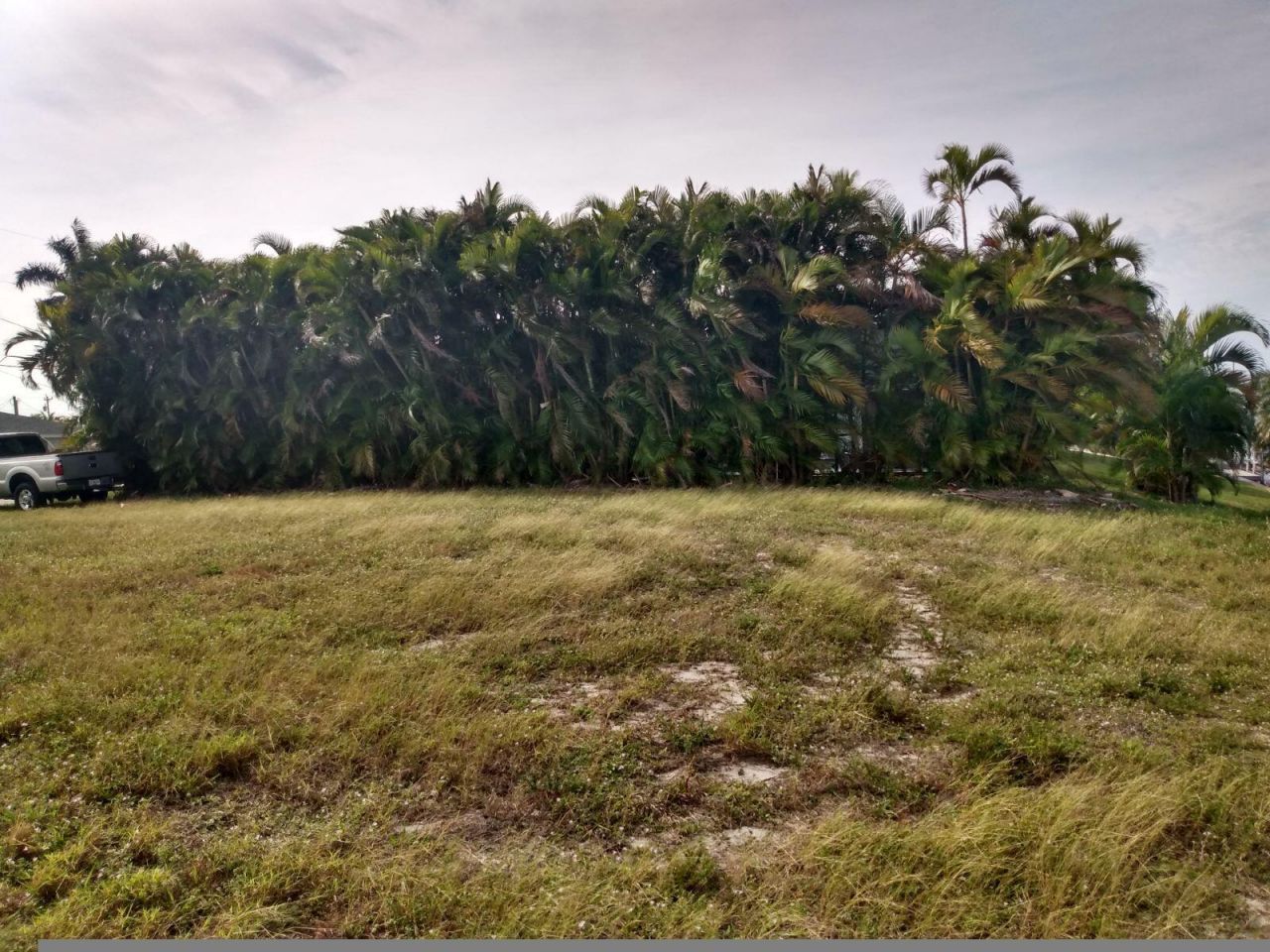 1727 SE 16th Street, Cape Coral, FL 33990 Photo