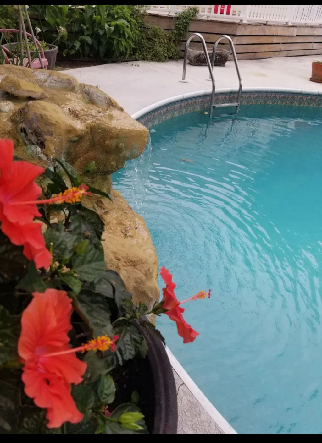 3646 Hilton Drive Photo 25