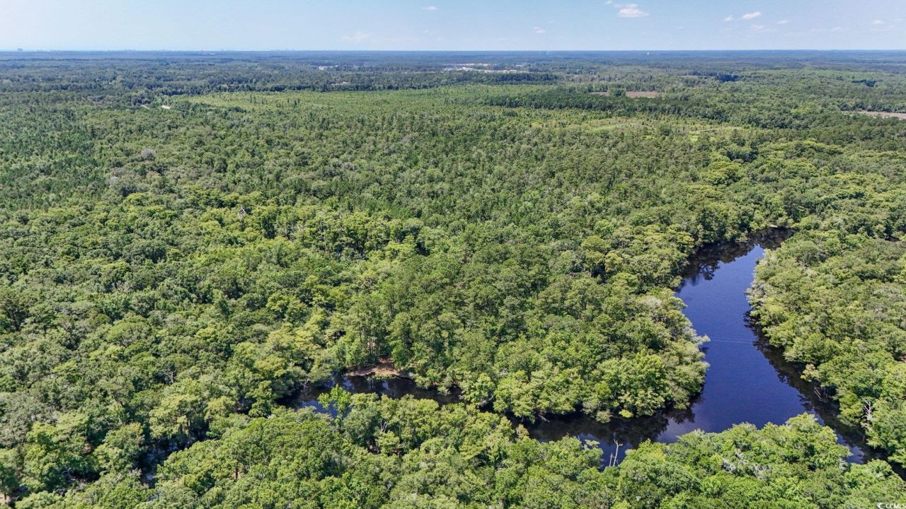 2879 Waccamaw Cove Photo 34