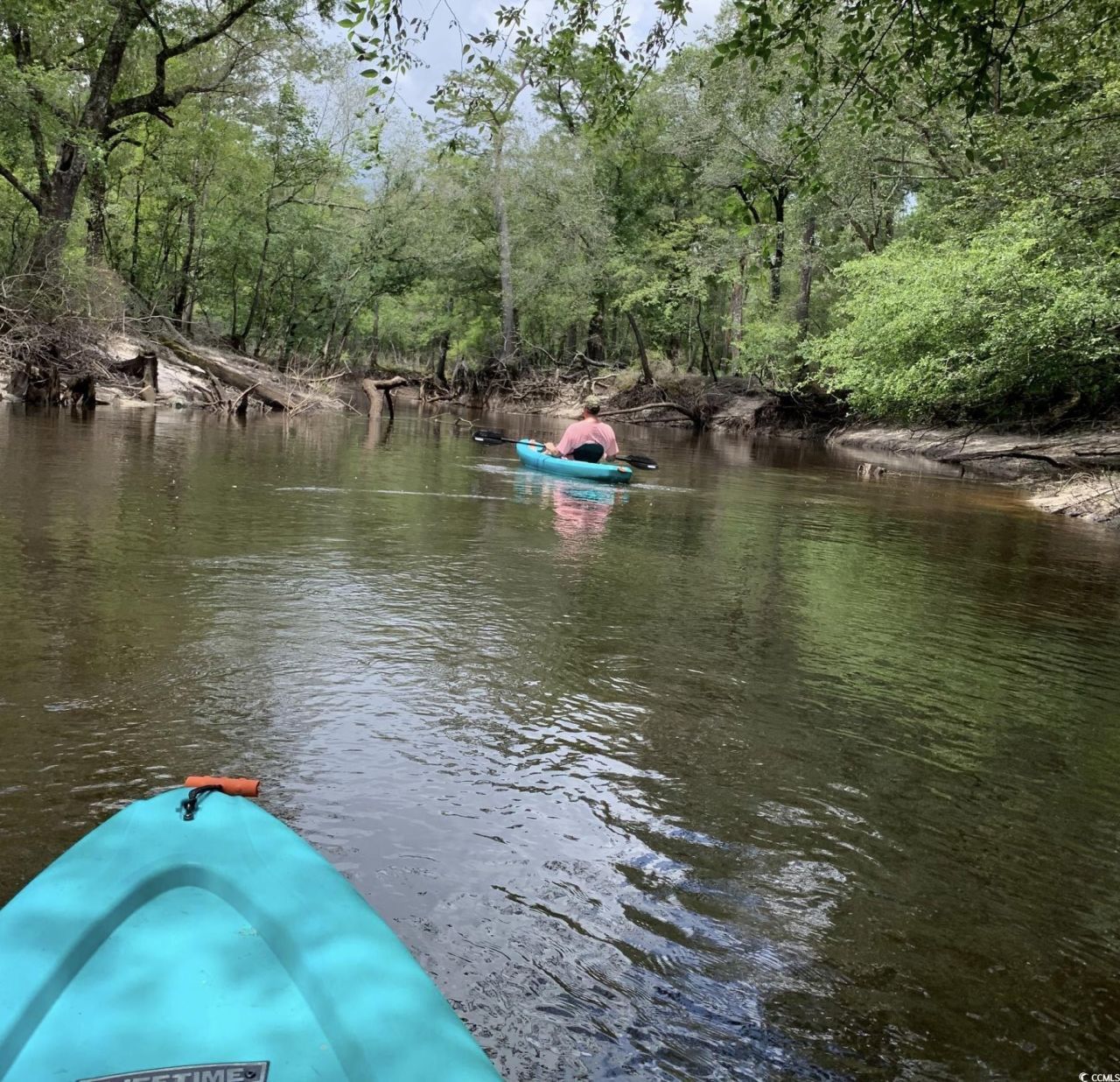 2879 Waccamaw Cove Photo 35