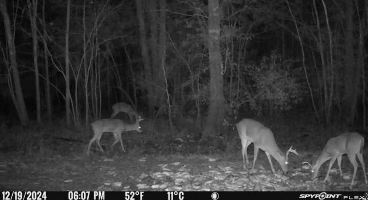 2879 Waccamaw Cove Photo 37