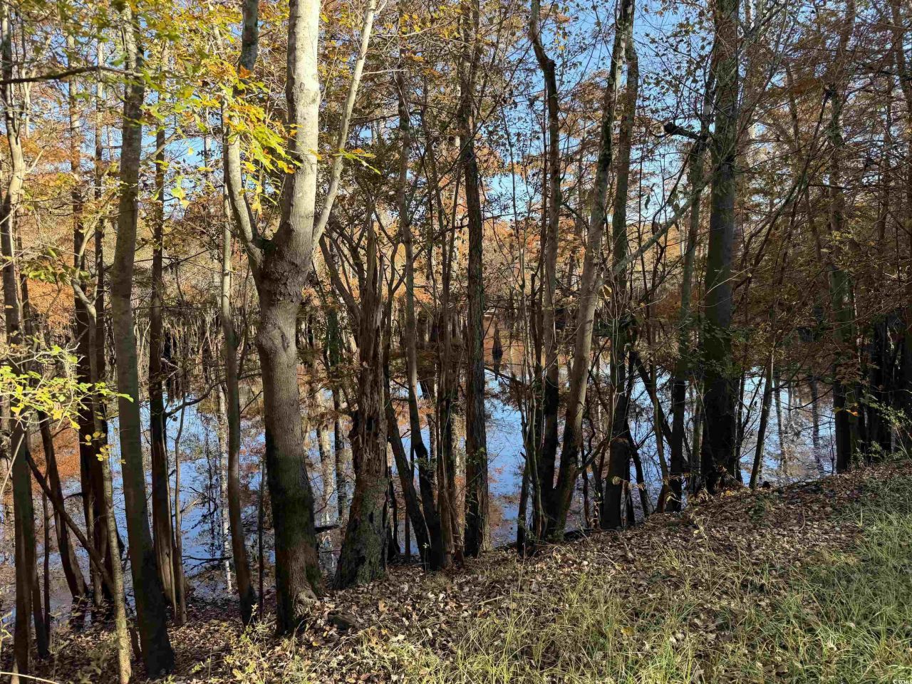 2879 Waccamaw Cove Photo 39