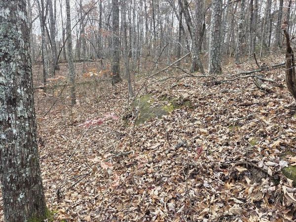 25 Down Place, Monterey, TN 38574