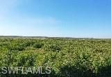 6477 Park Rd, Fort Myers, FL 33908 Photo