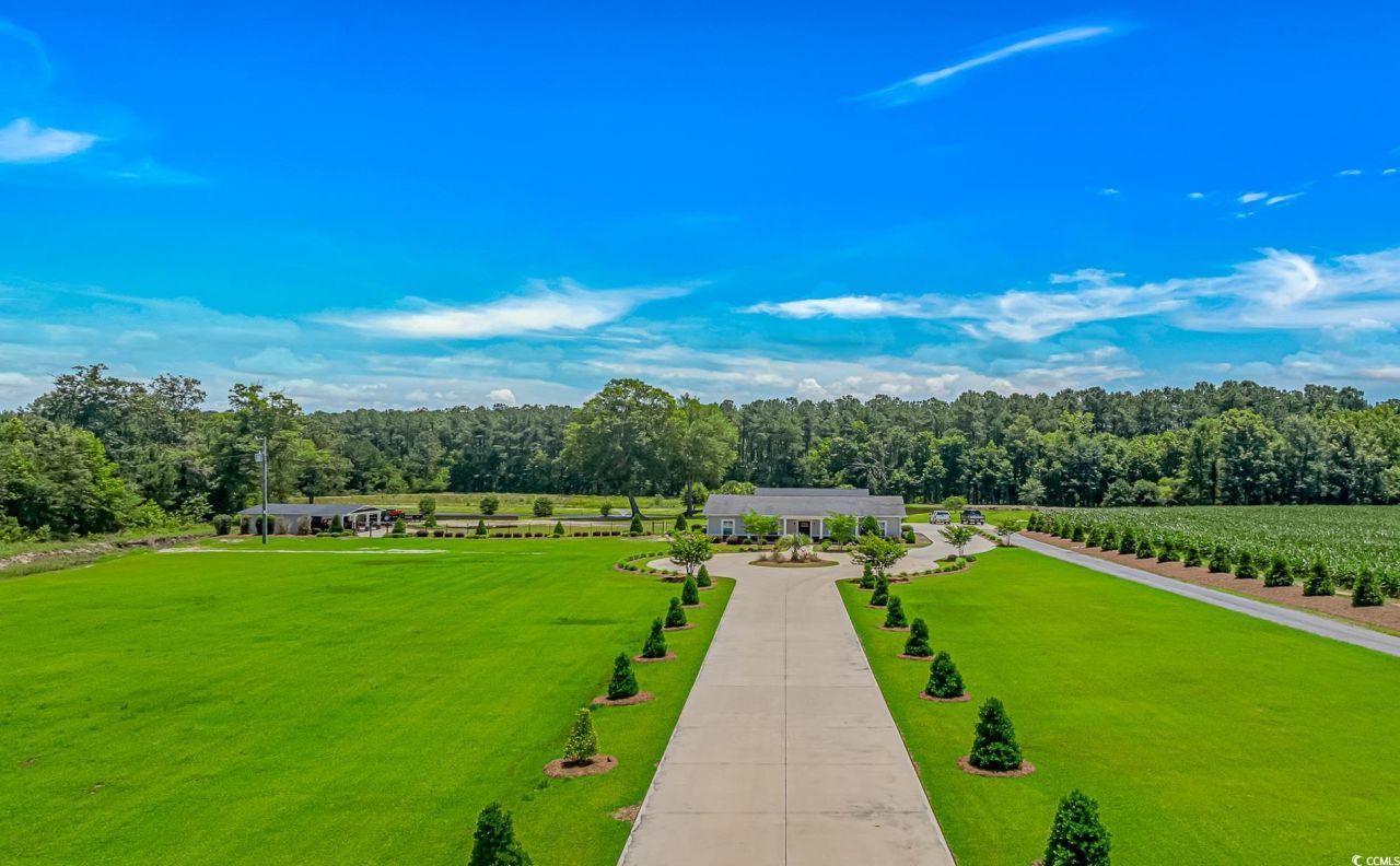 15810 County Line Rd. Photo 6