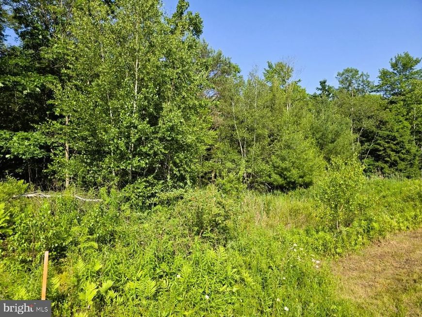 0 Main Street, Winburne, PA 16879 Main Photo