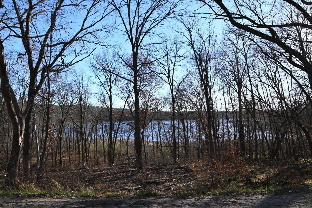 TBD Ottawa Drive, Browerville, MN 56438