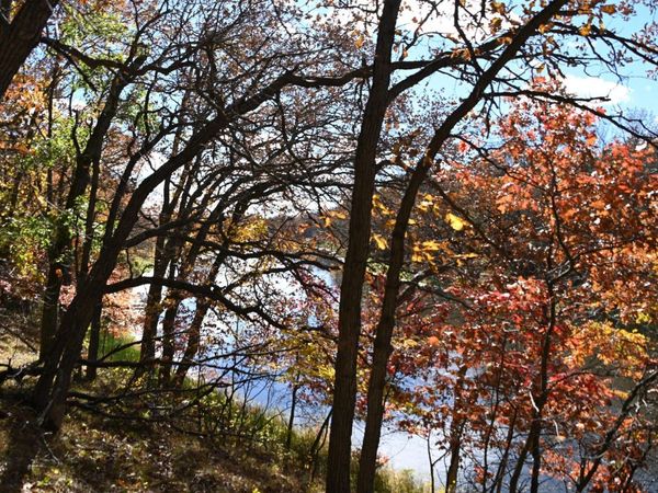 38869 Odin Court, Browerville, MN 56438