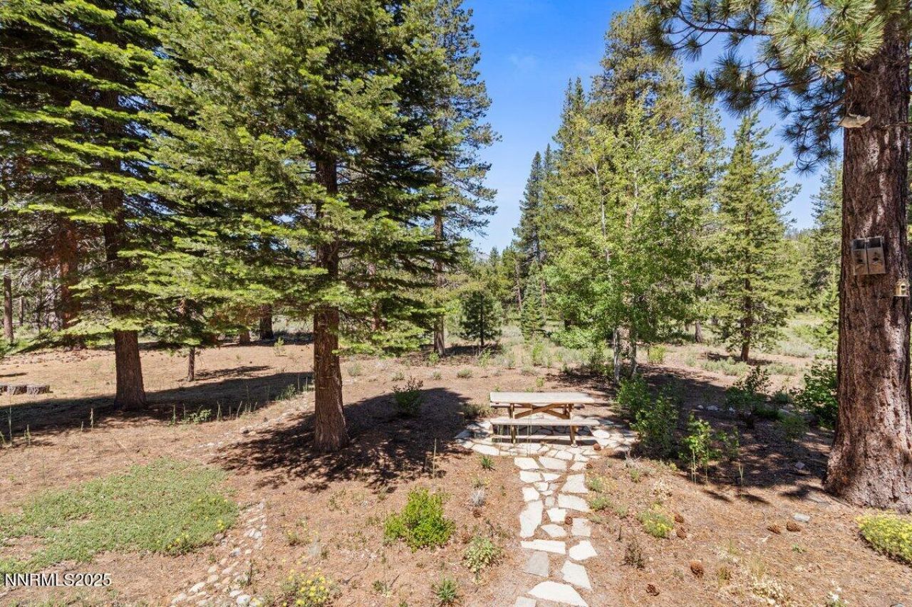 1580 Boca Raton Drive, South Lake Tahoe, CA 96150 Photo