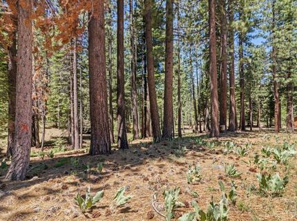 1580 Boca Raton Drive, South Lake Tahoe, CA 96150 Photo