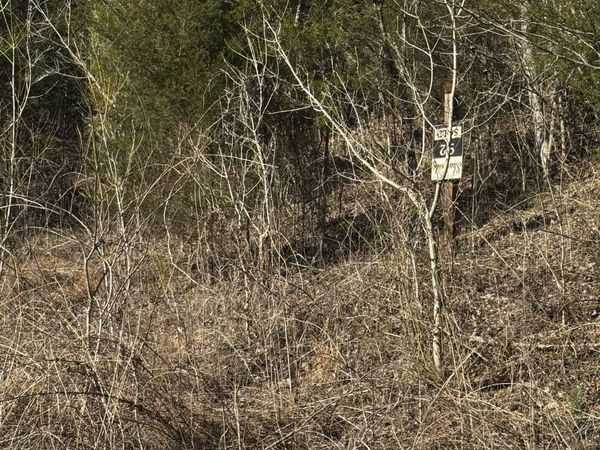 92 Shoreside Dr, Smithville, TN 37166