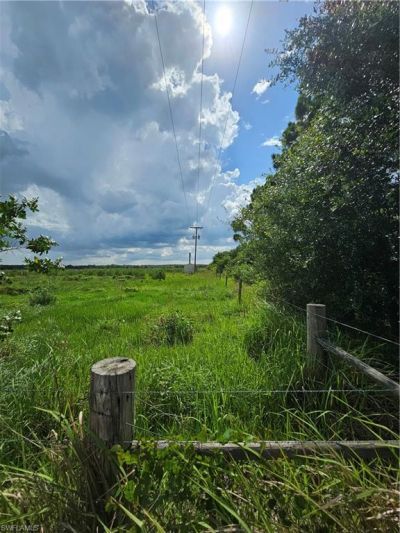 Kirby Thompson Rd, Labelle, FL 33935 Photo