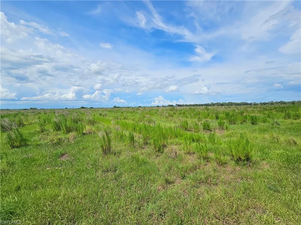 Kirby Thompson Rd, Labelle, FL 33935 Photo