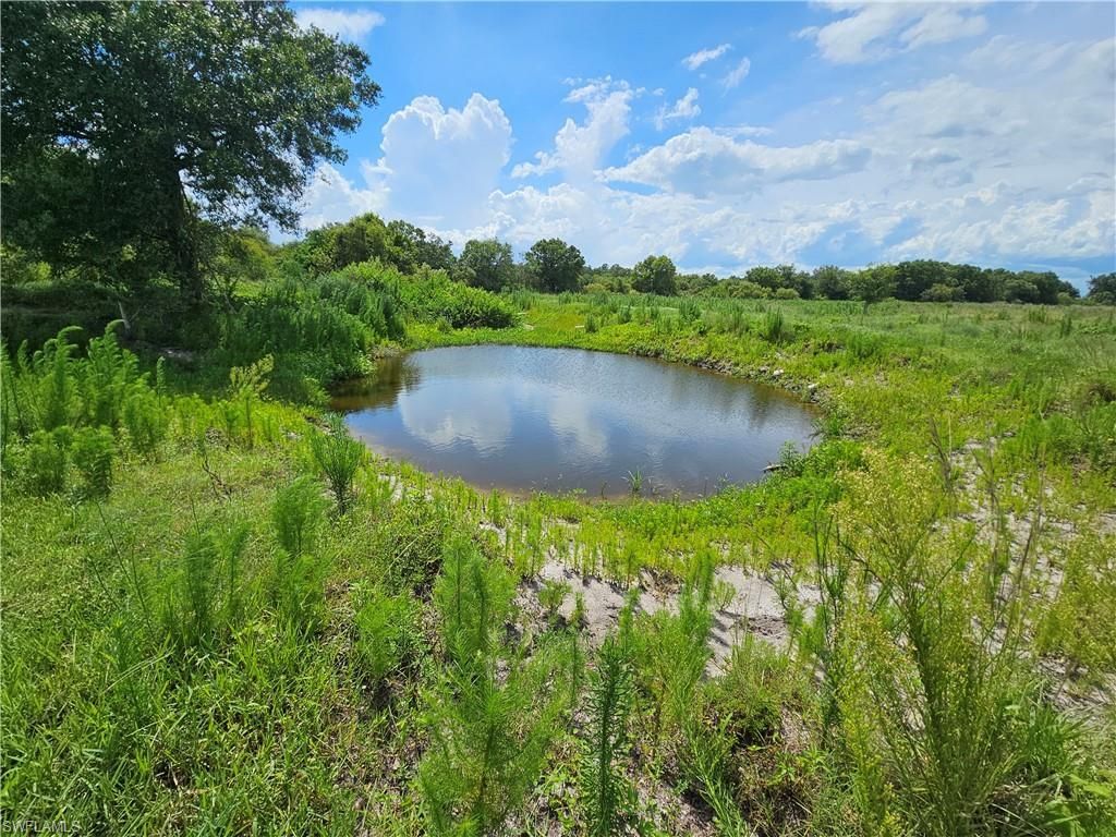 Kirby Thompson Rd, Labelle, FL 33935 Photo