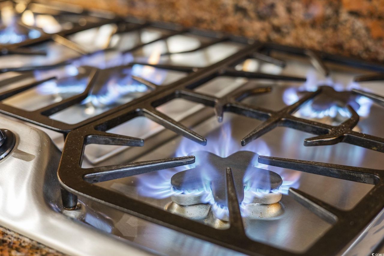 350 Saint Julian Ln. Photo 11