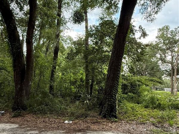 4117 SILVER LAKE DRIVE, PALATKA, FL 32177