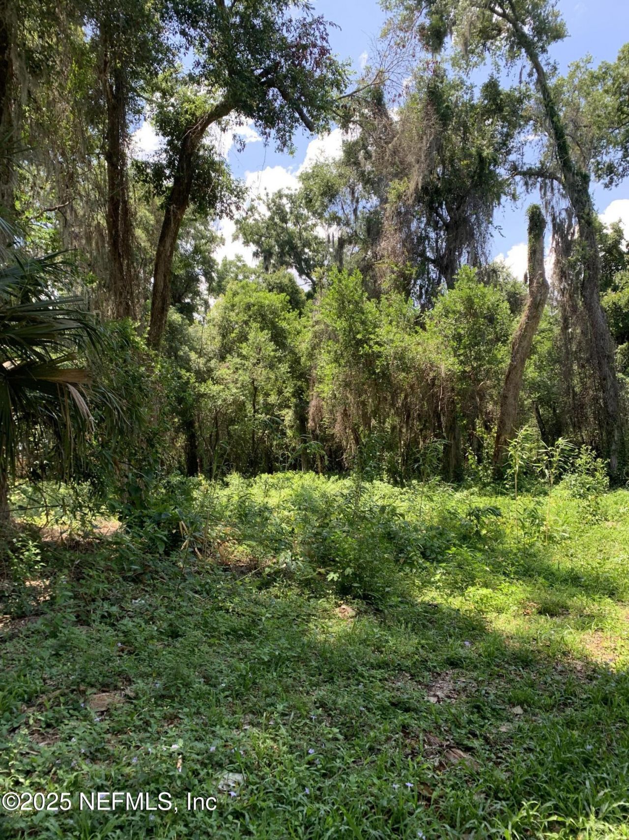 0 Milwaukee Avenue, Orange Park, FL 32073 Photo