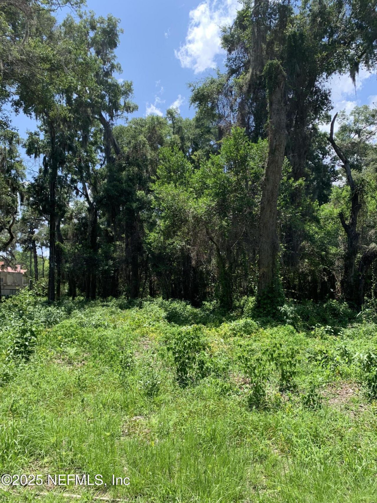 0 Milwaukee Avenue, Orange Park, FL 32073 Photo